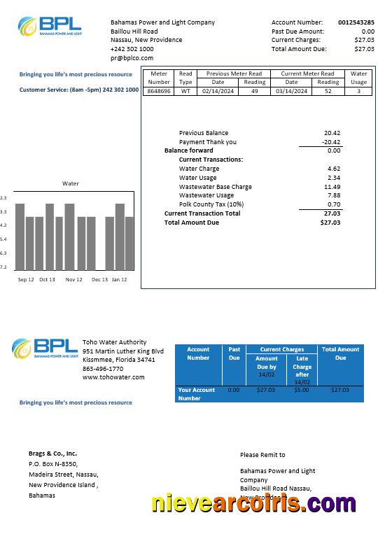 Bahamas Power and Light Company business utility bill